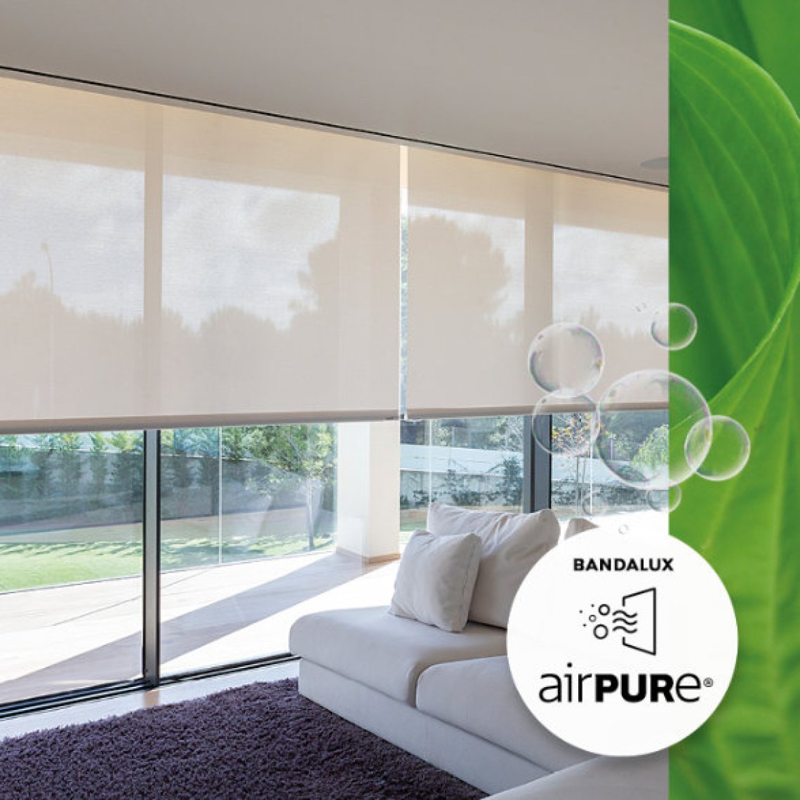 airpure2-0.jpg